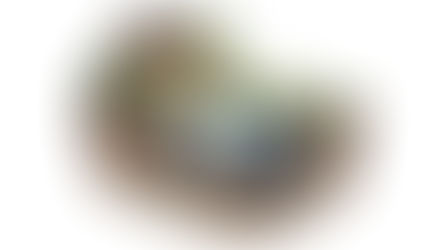 The Unsung Hero Beneath Your Lawn: A Deep Dive into Concrete Septic Tanks