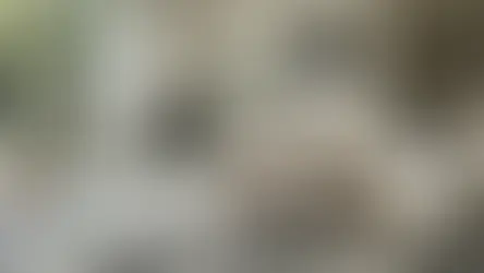 Black and White Rug: A Simple Upgrade That Redefines Your Entire Space