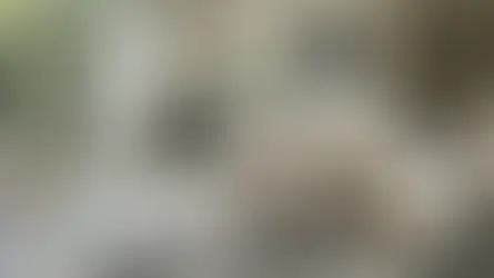 Black and White Rug: A Simple Upgrade That Redefines Your Entire Space