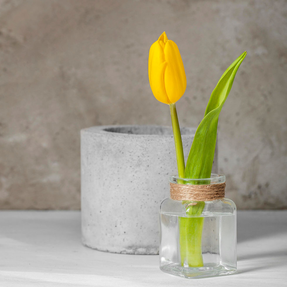 Yellow tulip in a small glass vase against a gray concrete backdrop. The vase is wrapped with twine, creating a simple and serene scene.