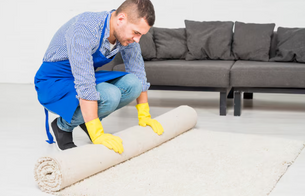 Deep Clean Your Area Rug