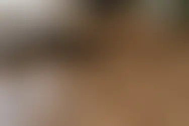 LVP FLOORING: GUIDE BEST LVP'S, COST AND CLEANING