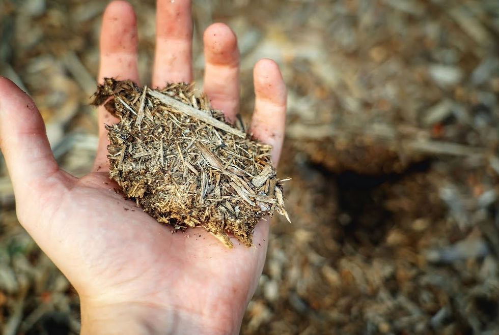 Hand holding a pile of mulch against a blurred background of dry foliage. The scene is earthy, with brown tones.