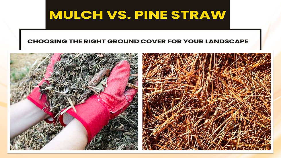 Red-gloved hands holding mulch next to pine straw. Text: "MULCH VS. PINE STRAW, CHOOSING THE RIGHT GROUND COVER FOR YOUR LANDSCAPE."