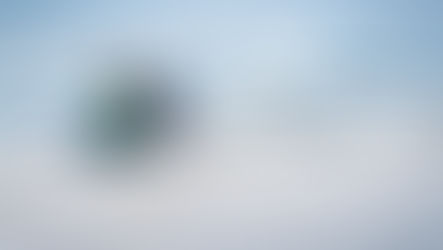 Commercial Roofing Services Near Me - DreamDen's Expert Guide