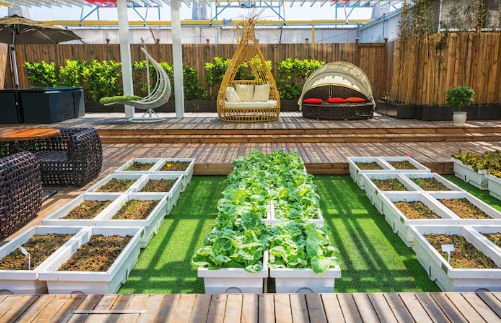 Rooftop garden with white planter boxes of leafy greens, wooden deck, wicker chairs, and hanging seats. Relaxed, sunny atmosphere.