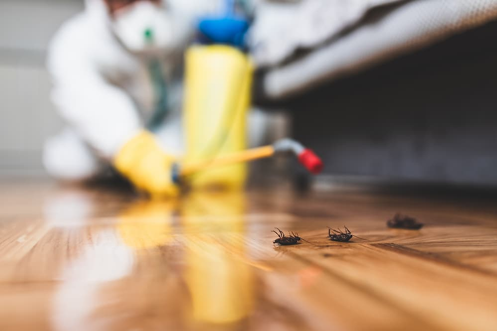 Exterminator in hazmat suit sprays floor, targeting dead bugs on shiny wood surface. Yellow gloves and blue sprayer visible.
