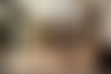 Barn Doors in Interior Design