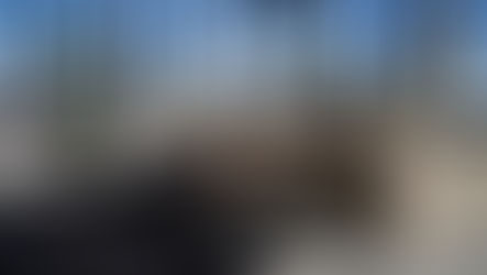 Interior Design in Perth