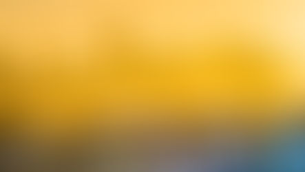 Interior Design Services in the Bay Area: Elevate Your Space with Style and Expertise