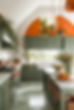Orange Plants Orange Kitchens