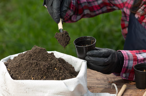 Person in plaid shirt and gloves fills a small black pot with soil from a white bag on a wooden table, set against a grassy background.