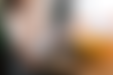 Dealing with a Rodent Problem: What You Need to Know