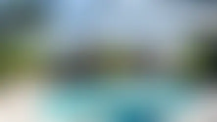 Spacious backyard with a modern pool and screened enclosure, surrounded by lush palm trees and patio furniture, creating a serene outdoor oasis.