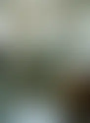 Shower Glass Doors or Open Door