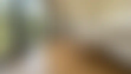 Bright living room with a beige sofa, wooden floor, potted plants, and large window showing a garden. Cozy and minimalist ambiance.