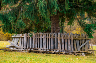 How to Tell If a Fence Is Old: Signs, Tips, and When to Replace