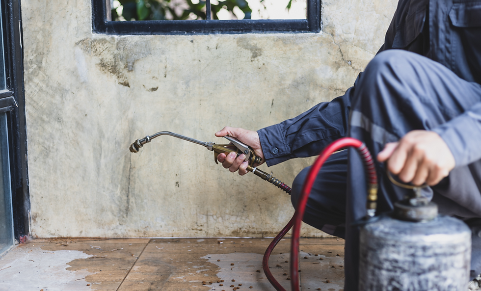 A person in blue uniform is crouched, holding a pesticide sprayer near a wall with a dirty floor. Red hose is visible. Indoors setting.