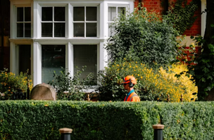Essential Home Services and Solutions for a Better Living Environment