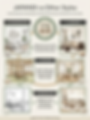 Infographic comparing Japandi style with Scandinavian, Japanese, and Minimalism. Highlights wood contrast, textures, and warmer palettes.