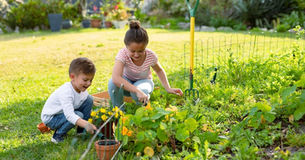 Child-friendly Garden Ideas on a Budget