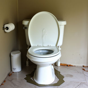 How to Fix a Gurgling Toilet