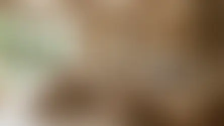 An image of a cozy, modern living room with natural textures and a calm aesthetic. On the left, a large, black-framed window wall opens to a lush garden. A light-colored boucle sofa with various decorative pillows is centered on a woven jute rug. In front is a low wooden coffee table with books, candles, and pampas grass.