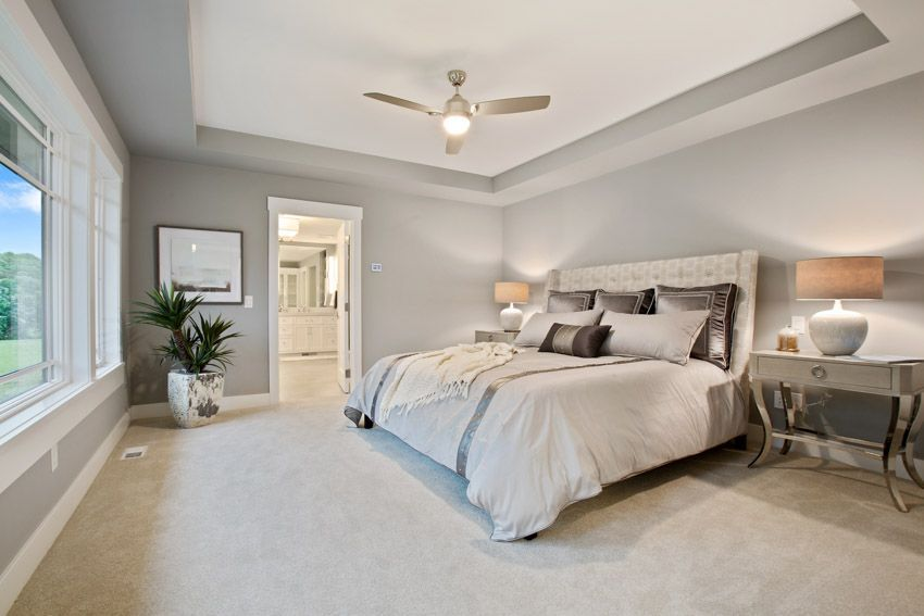 Modern bedroom with a large bed, gray walls, and beige carpet. Two lamps on side tables, a plant, and large window. Bright and serene.