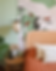 Mint Green Color and Paint Ideas For Your Bedroom