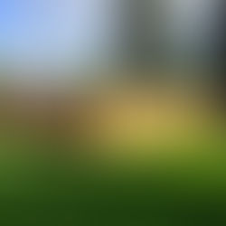 How to Find Reliable Custom Fencing Contractors in Oregon