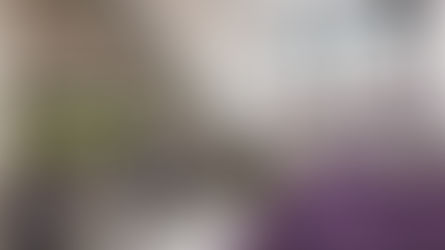 Design a Magical Purple Bedroom with a Tree House Bunk: Ideas & Tips