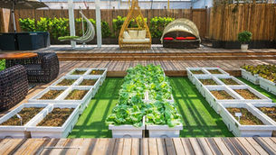 Creative Courtyard Design Ideas for Small Spaces