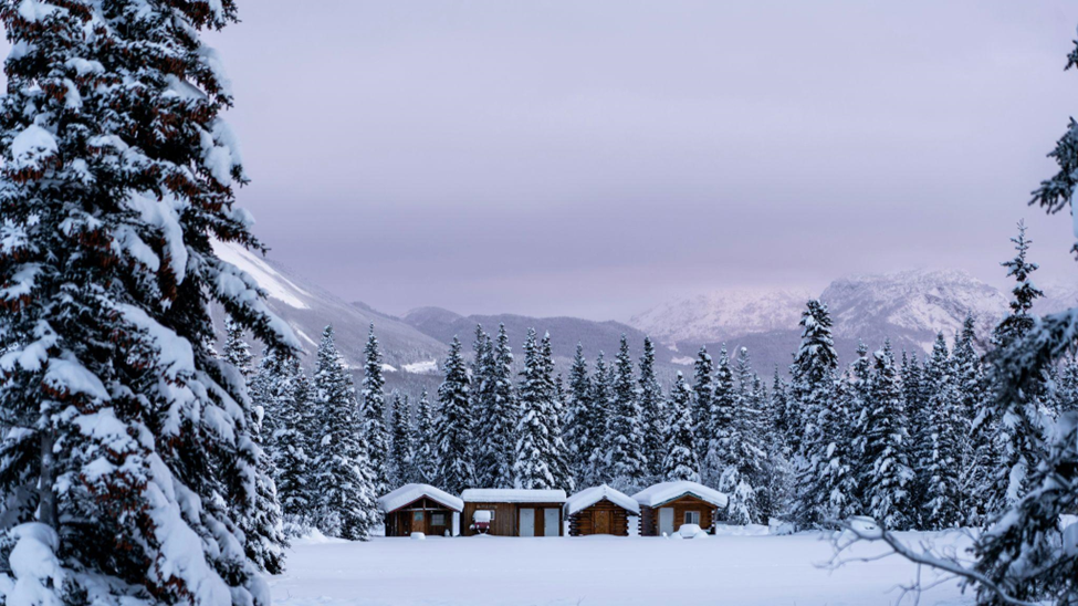 Snow-covered cabins surrounded by frosty pine trees and mountains under a pale purple sky, creating a serene winter landscape.