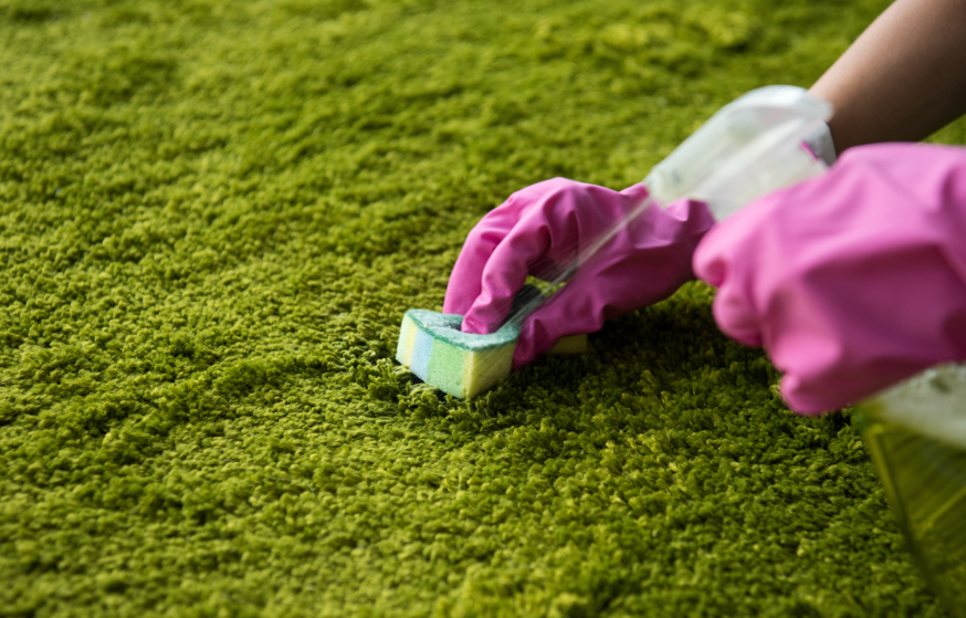 Hands in pink gloves scrubbing a green carpet with a sponge and spray bottle, showing cleaning action and focus on texture.