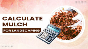 How to Calculate Mulch for Landscaping: Accurate Measurement Tips for Healthy Plants and Cost Savings