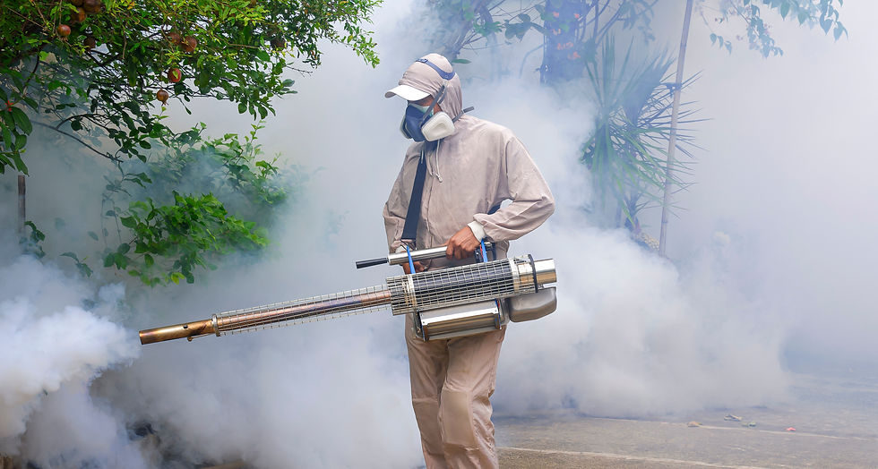 Person in protective gear uses fogging machine in a garden surrounded by thick white smoke, creating a misty atmosphere.