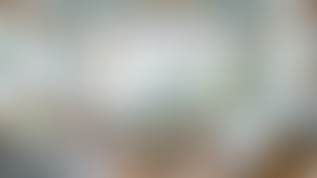 Hamptons Interior Design Trends