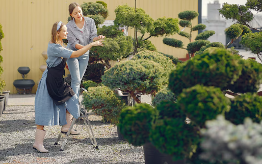 Softscape Landscaping Near You