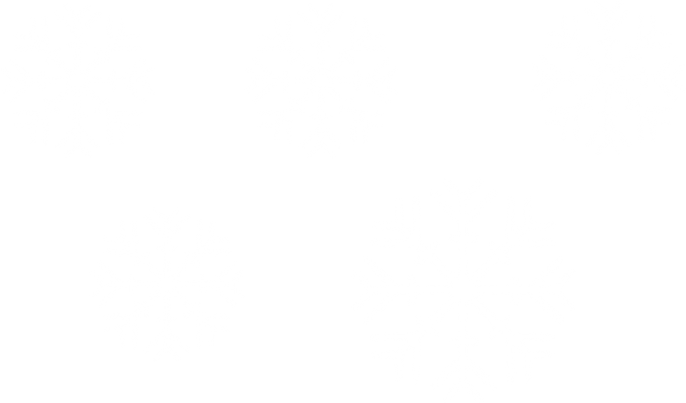 снежинк.png