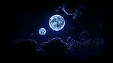 NIGHTMOON2.jpg