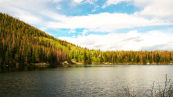 IMG_1909.jpg