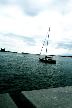 IMG_9041.jpg
