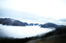 IMG_6692.jpg