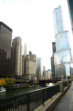 IMG_7241.jpg