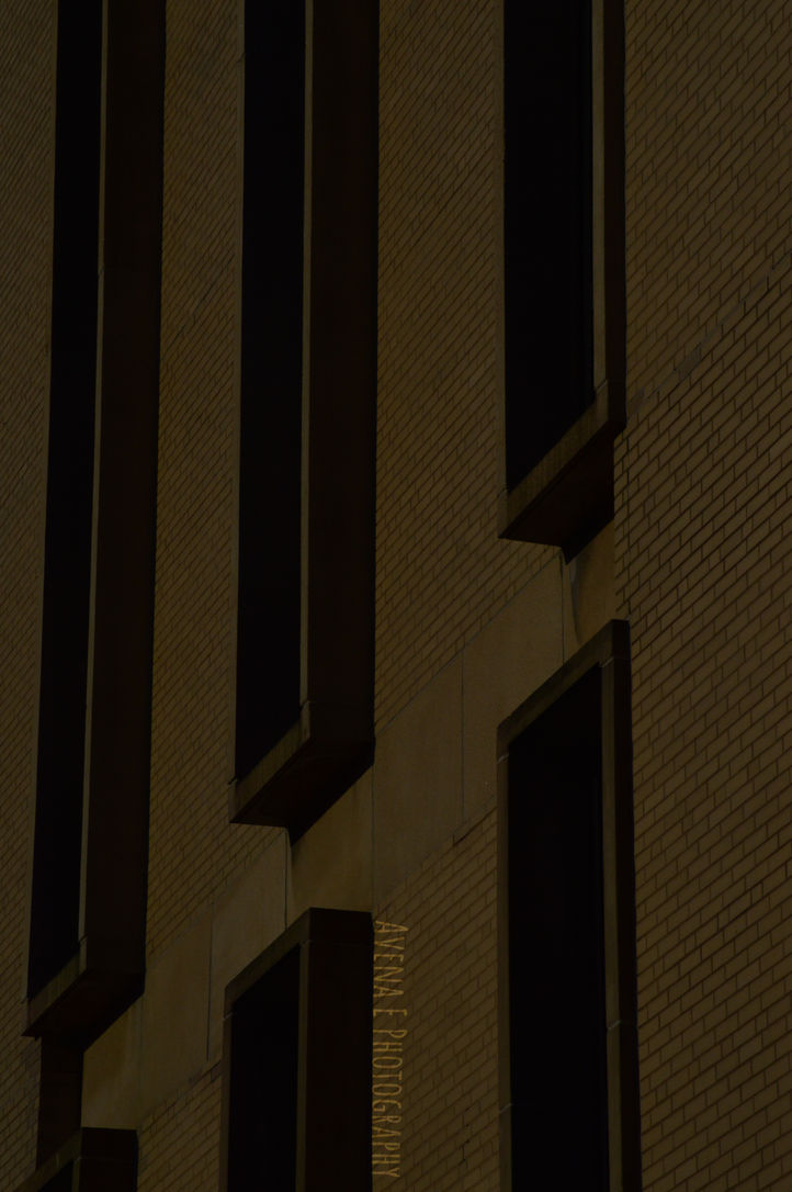 Long Ominous Continuum Tri.JPG