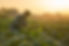 AdobeStock_479498460.jpeg