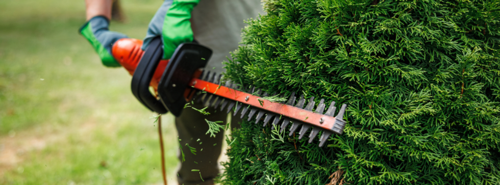 Sans titre-3 (1).png