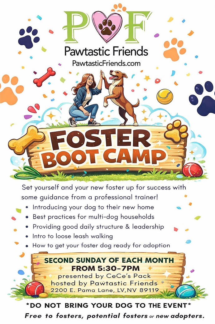 ChatGPT Image Jan 5, 2026, 06_49_45 PM.png