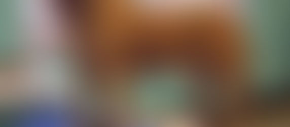 Yogi, Forever in our Hearts