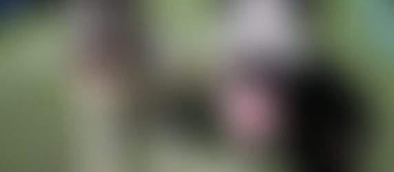 Pawtastic Friends Block Party